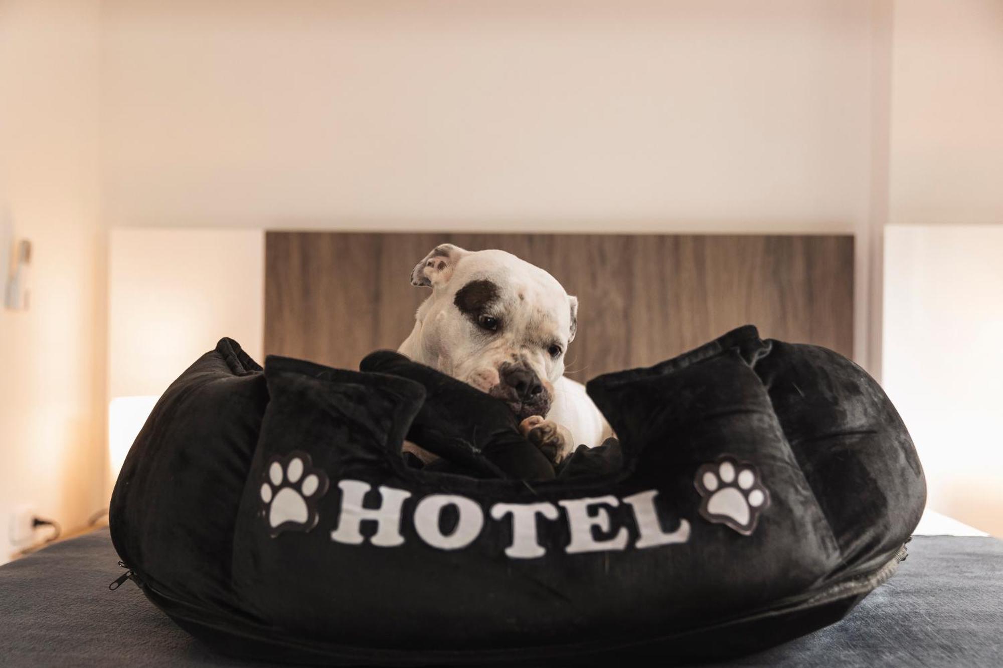 Hotel Boutique Bussines Center Кали Экстерьер фото